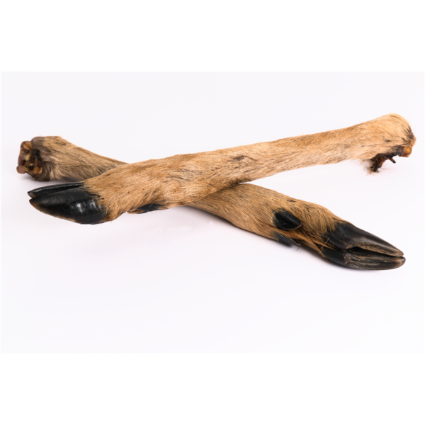Ecostar Rehlauf mit Fell 2 Stück ca.180g