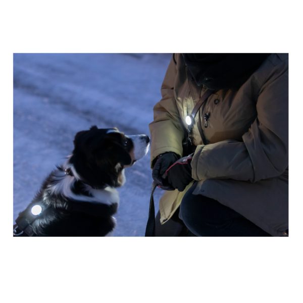 Trixie Flasher USB für Hunde Safer Life – Bild 5