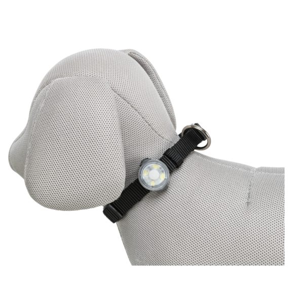 Trixie Flasher USB für Hunde Safer Life – Bild 6