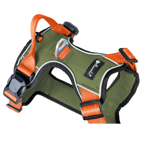 Petlando Magnetech Geschirr - Farbe: olive/orange – Bild 5