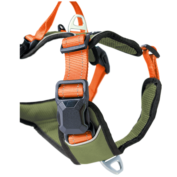 Petlando Magnetech Geschirr - Farbe: olive/orange – Bild 4