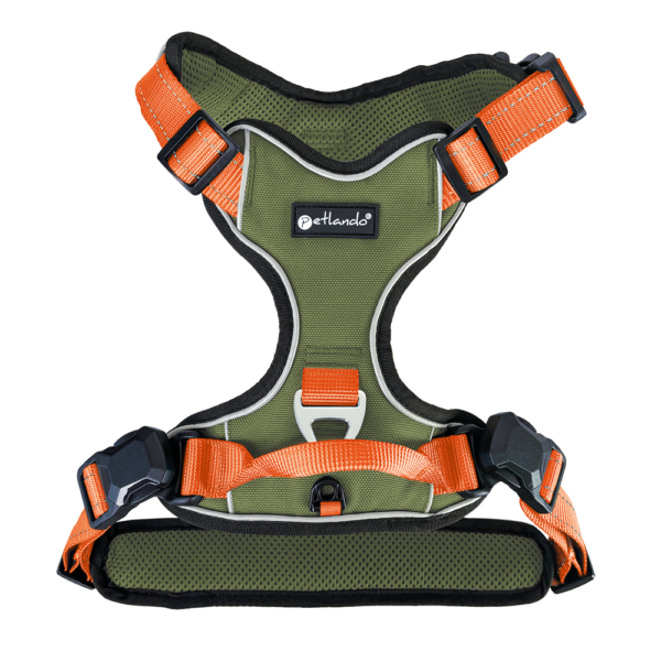 Petlando Magnetech Geschirr - Farbe: olive/orange – Bild 2