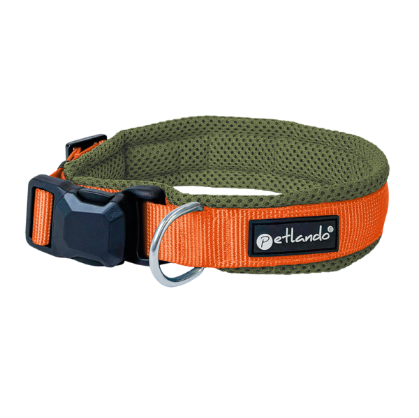 Petlando Magnetech Halsband olive/orange