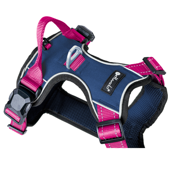 Petlando Magnetech Geschirr - Farbe: navy/fuchsia – Bild 4