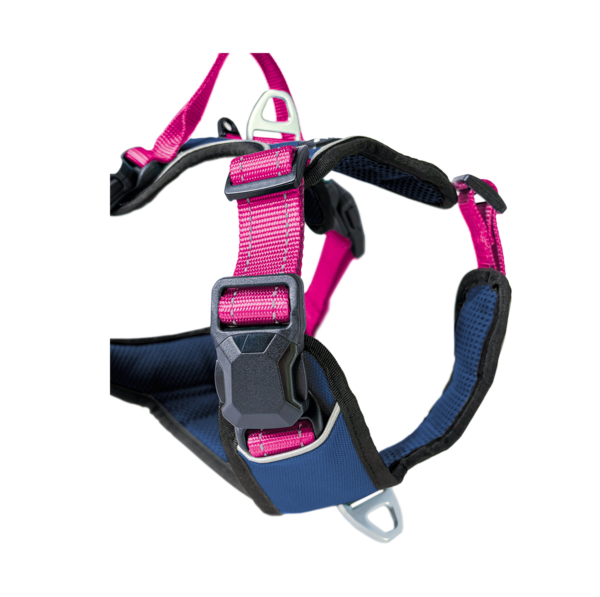 Petlando Magnetech Geschirr - Farbe: navy/fuchsia – Bild 5