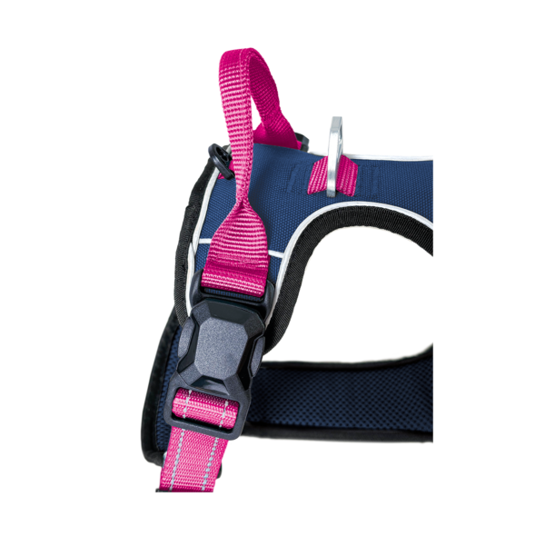 Petlando Magnetech Geschirr - Farbe: navy/fuchsia – Bild 3