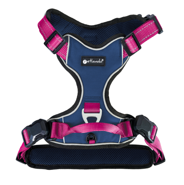 Petlando Magnetech Geschirr - Farbe: navy/fuchsia