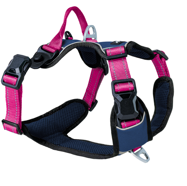 Petlando Magnetech Geschirr - Farbe: navy/fuchsia – Bild 2