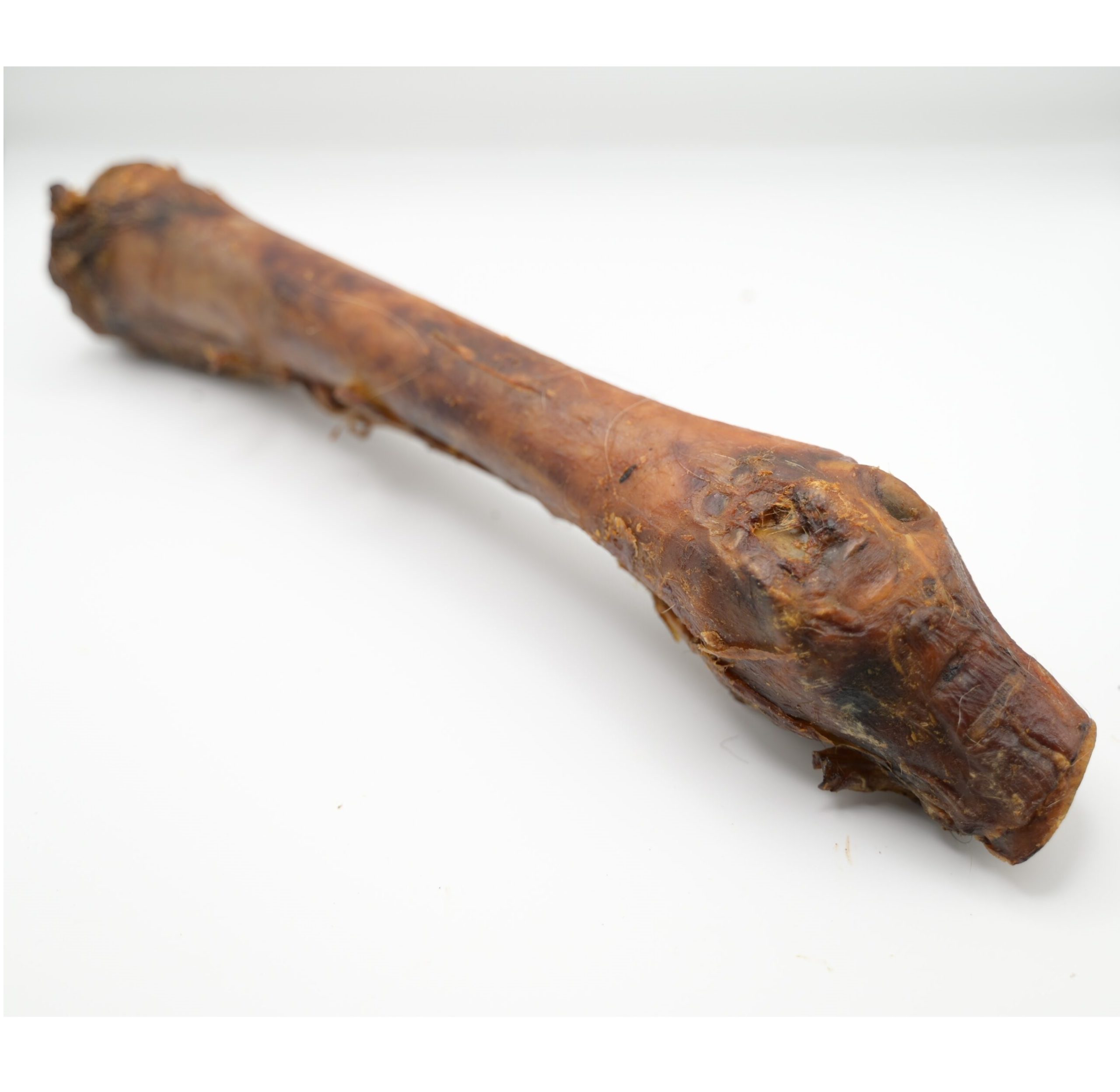 Pferdeunterbein 1Stück