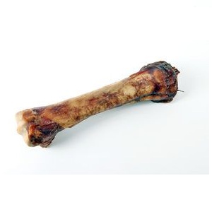 Pferdeunterbein 1Stück