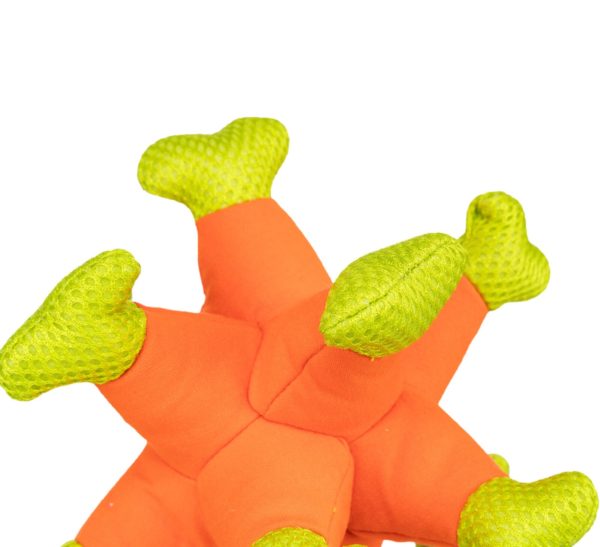Trixie Aqua Toy Seeigel 24cm – Bild 2