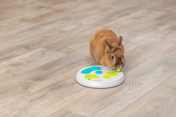 Trixie Strategiespiel Flip Board 23 cm – Bild 9