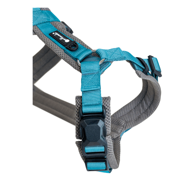 Petlando Magnetech Y-Comfort Geschirr - Farbe: anthrazit/petrol – Bild 5
