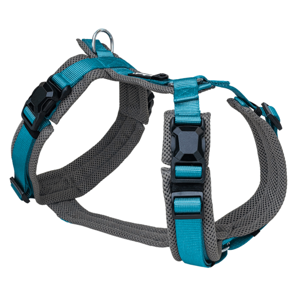 Petlando Magnetech Y-Comfort Geschirr - Farbe: anthrazit/petrol