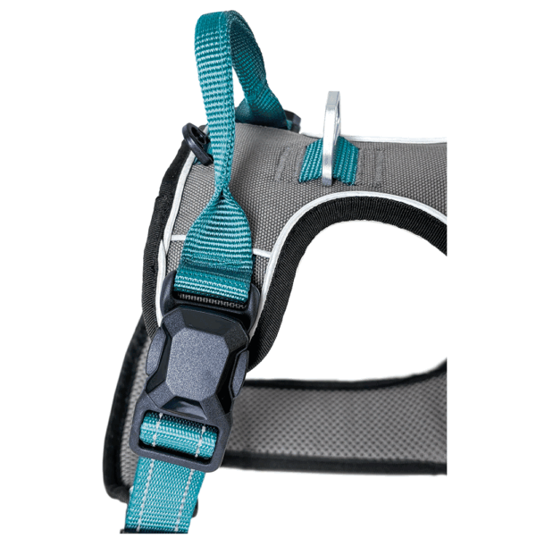 Petlando Magnetech Geschirr - Farbe: anthrazit/petrol – Bild 6