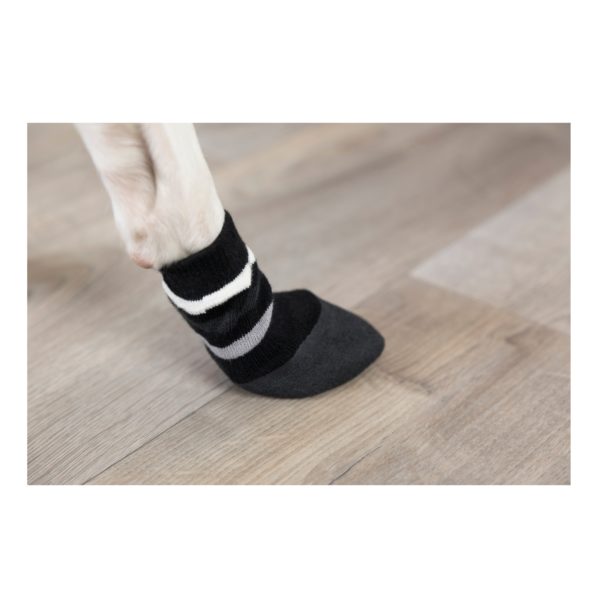 Trixie Hundesocken - Rundum mit Anti-Rutsch-Gummierung – Bild 2