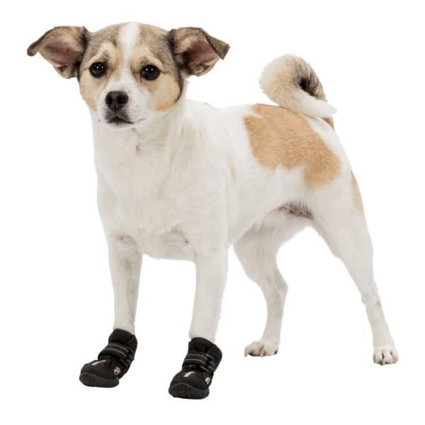 Trixie Pfotenschutz Walker Active – Bild 17