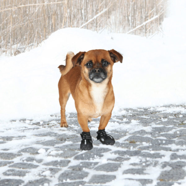 Trixie Pfotenschutz Walker Active – Bild 18
