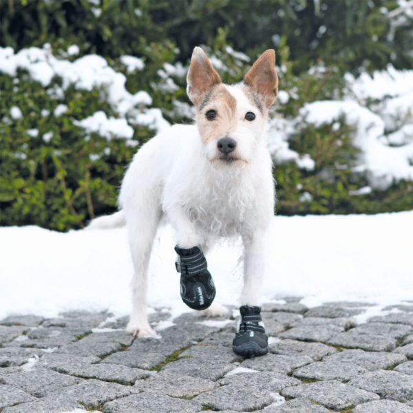Trixie Pfotenschutz Walker Active – Bild 21