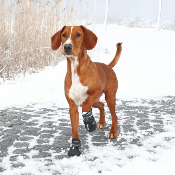 Trixie Pfotenschutz Walker Active – Bild 22