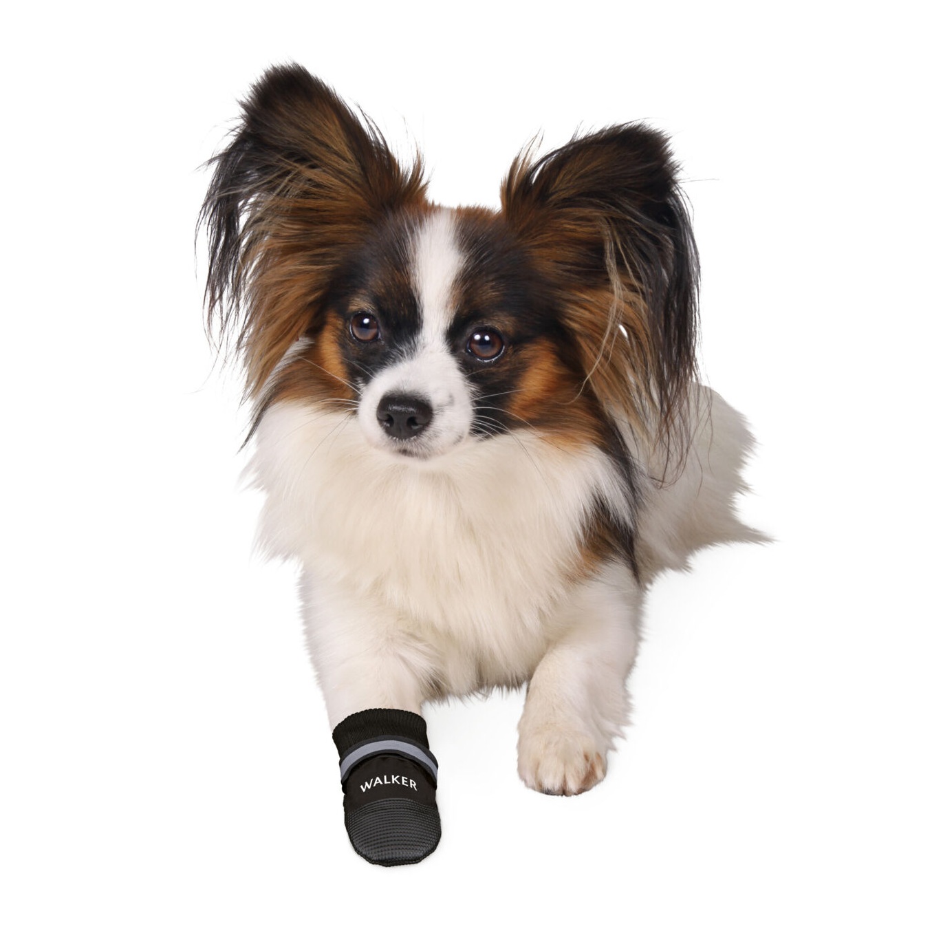 Trixie Pfotenschutz Walker Care Comfort – Bild 3