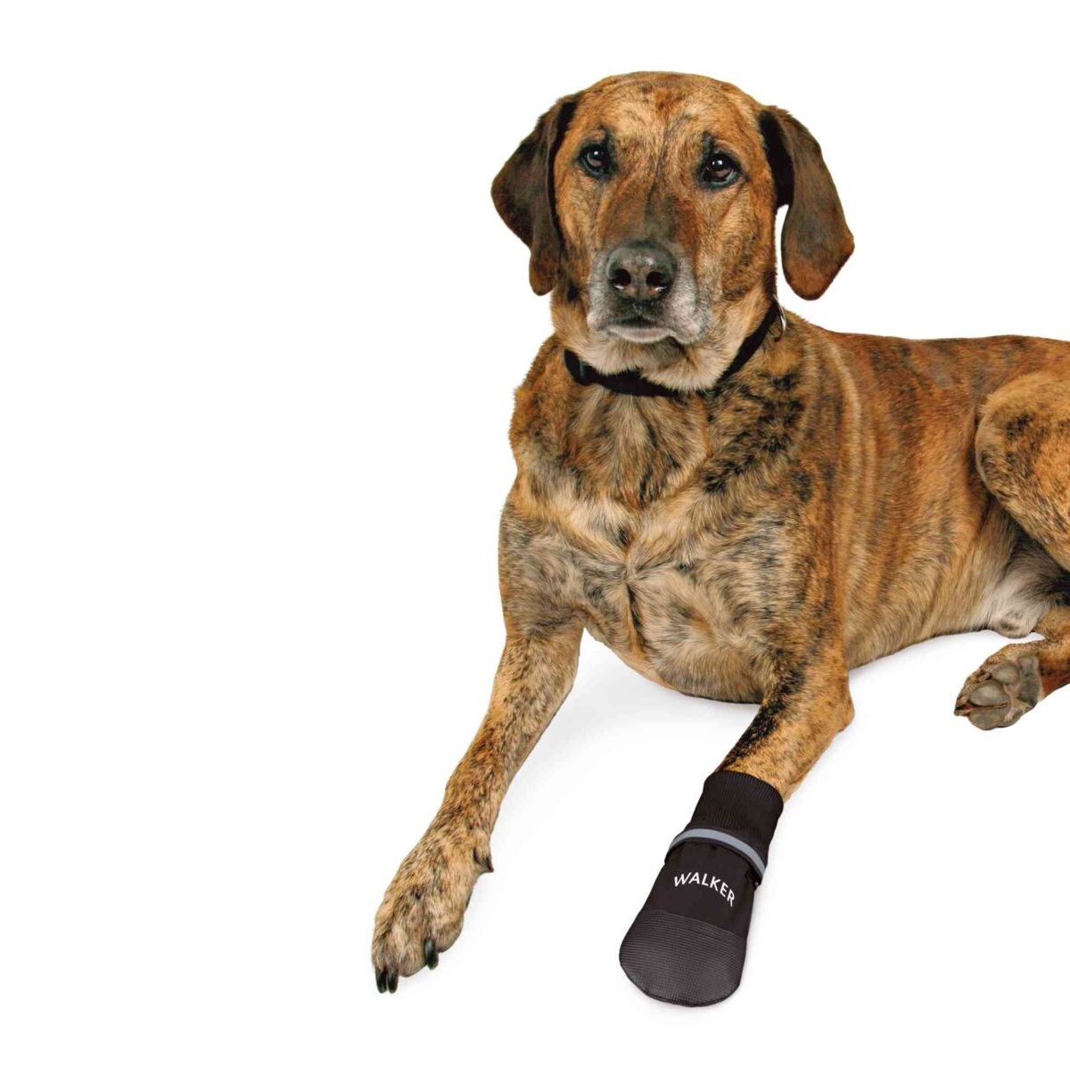 Trixie Pfotenschutz Walker Care Comfort – Bild 5