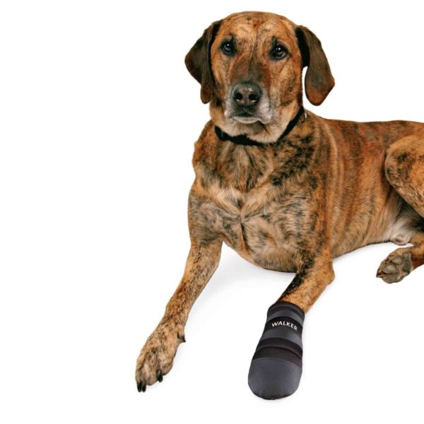 Trixie Pfotenschutz Walker Care – Bild 3