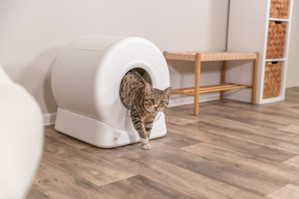 Trixie Smarte Katzentoilette – Bild 11