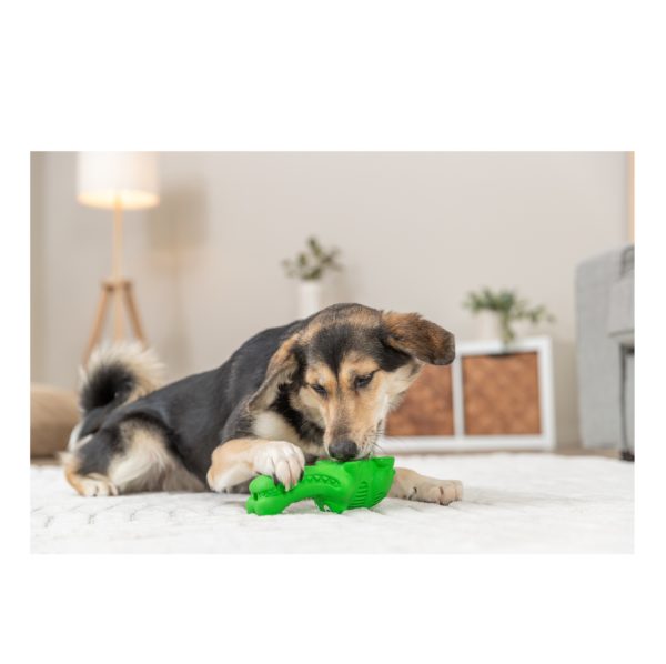 Trixie Snack-Krokodil 18cm – Bild 4