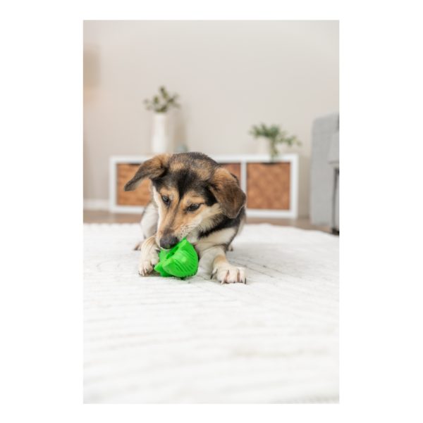Trixie Snack-Krokodil 18cm – Bild 5