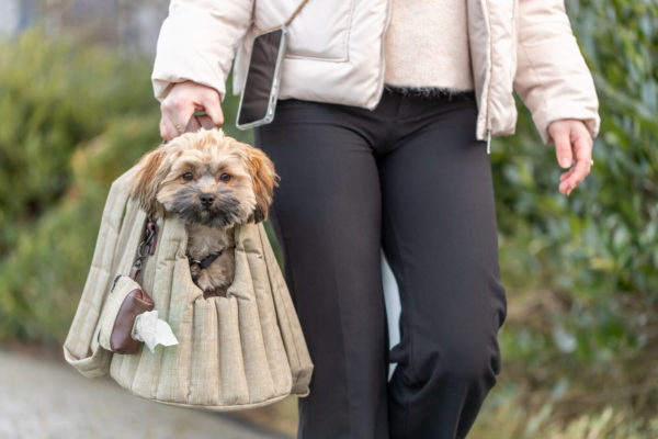 Trixie Tasche Sophie olivgrün – Bild 6