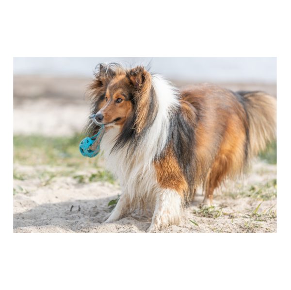 Trixie Wabenball am Seil, TPE ø 6 cm x 23 cm – Bild 4