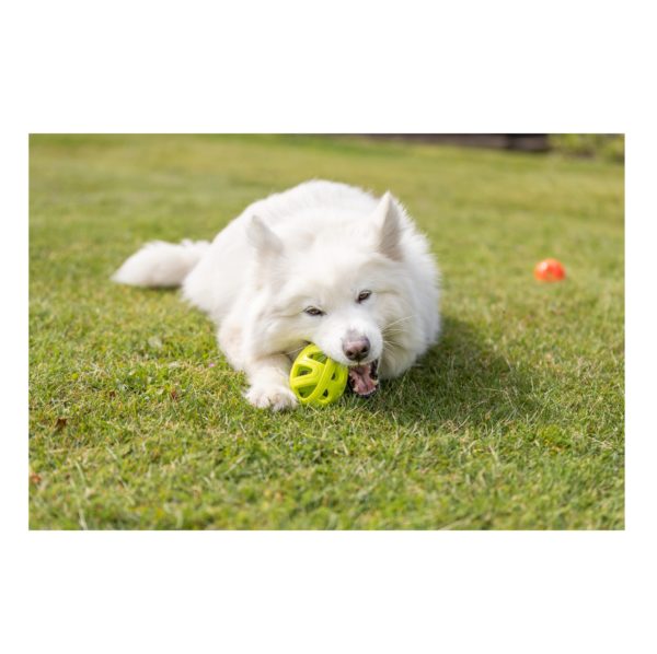 Trixie Wabenrugby, TPE ø 11 cm – Bild 3