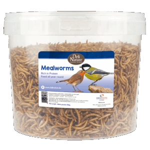 Deli Nature Mehlwürmer getrocknet im Eimer 700g