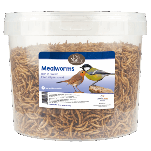 Deli Nature Mehlwürmer getrocknet im Eimer 700g