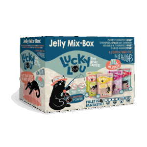 Lucky Lou® Extra Food Jelly-Mix-Box 12 x 70g Pouch