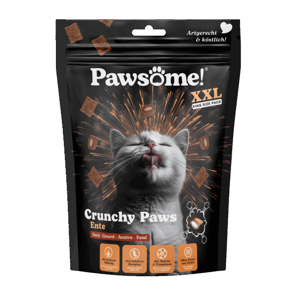 Pawsome!® Crunchy Paws Ente 150g