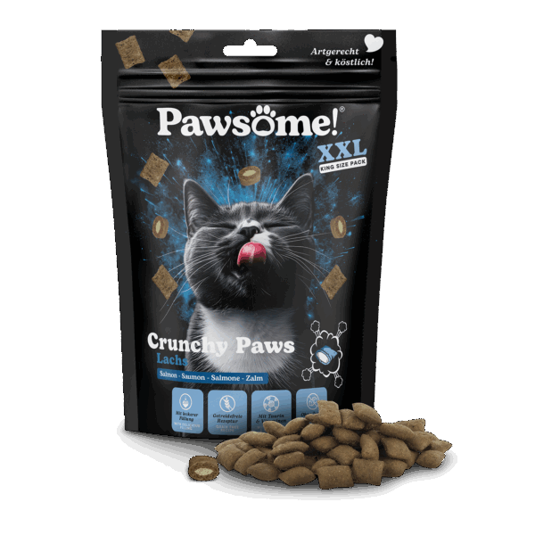 Pawsome!® Crunchy Paws Lachs 150g – Bild 2