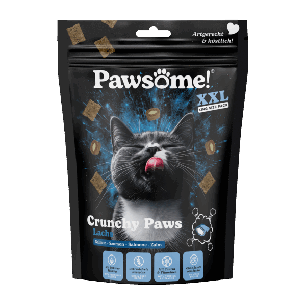 Pawsome!® Crunchy Paws Lachs 150g