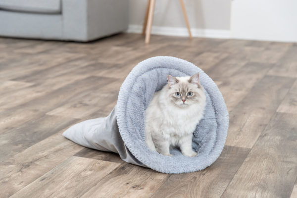 Trixie Kuschelsack Livia Soft 40 × 60 cm – Bild 6