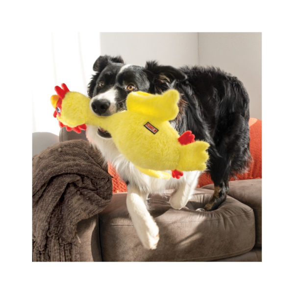 KONG - Scruffs Chicken – Bild 3