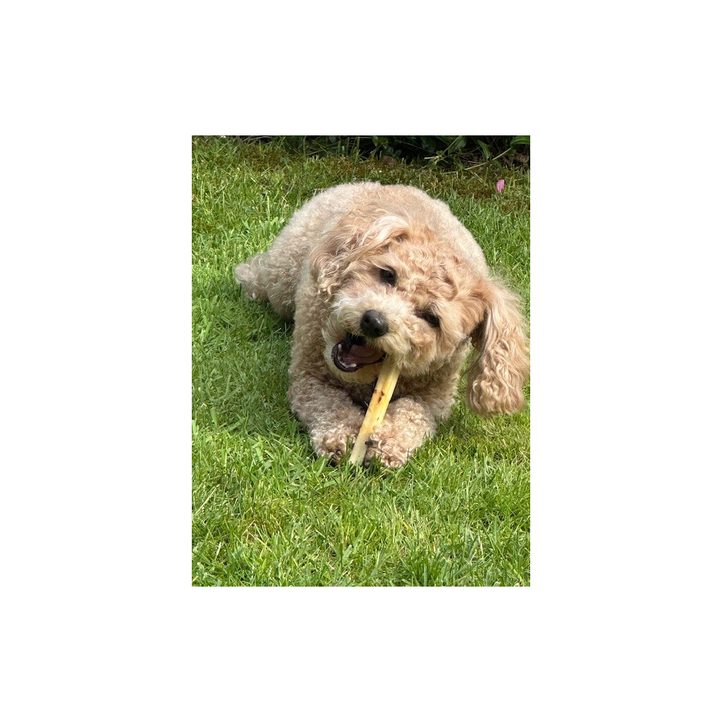 SwissCowers Cheese Bars Truffle Käsestange – Bild 5