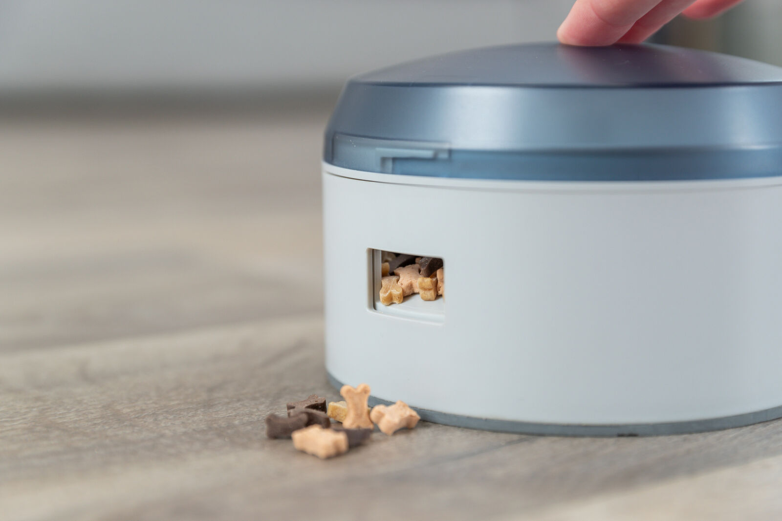 Trixie Buzzer  ø 14 × 9,5 cm – Bild 3