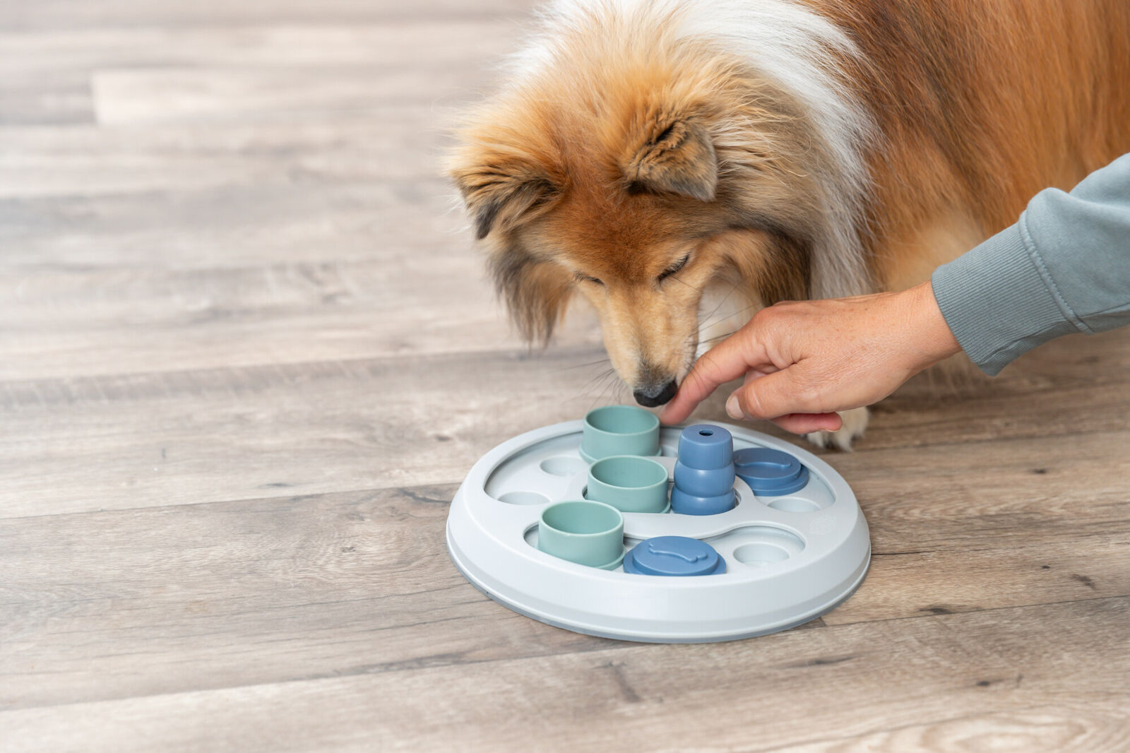 Trixie Flip & Fun Strategiespiel  ø 23 cm – Bild 3