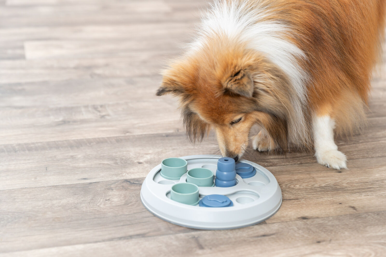 Trixie Flip & Fun Strategiespiel  ø 23 cm – Bild 4