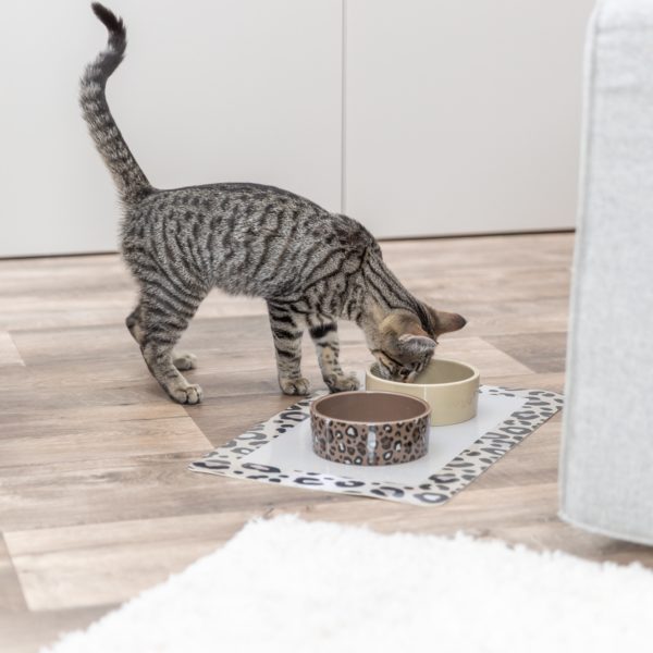 Trixie Keramiknapf Leo – Bild 6