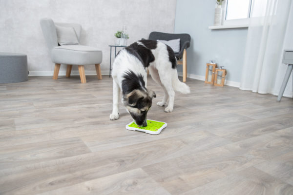 Trixie Lick’n'Snack Schleckplatte 20 x 20 cm – Bild 7