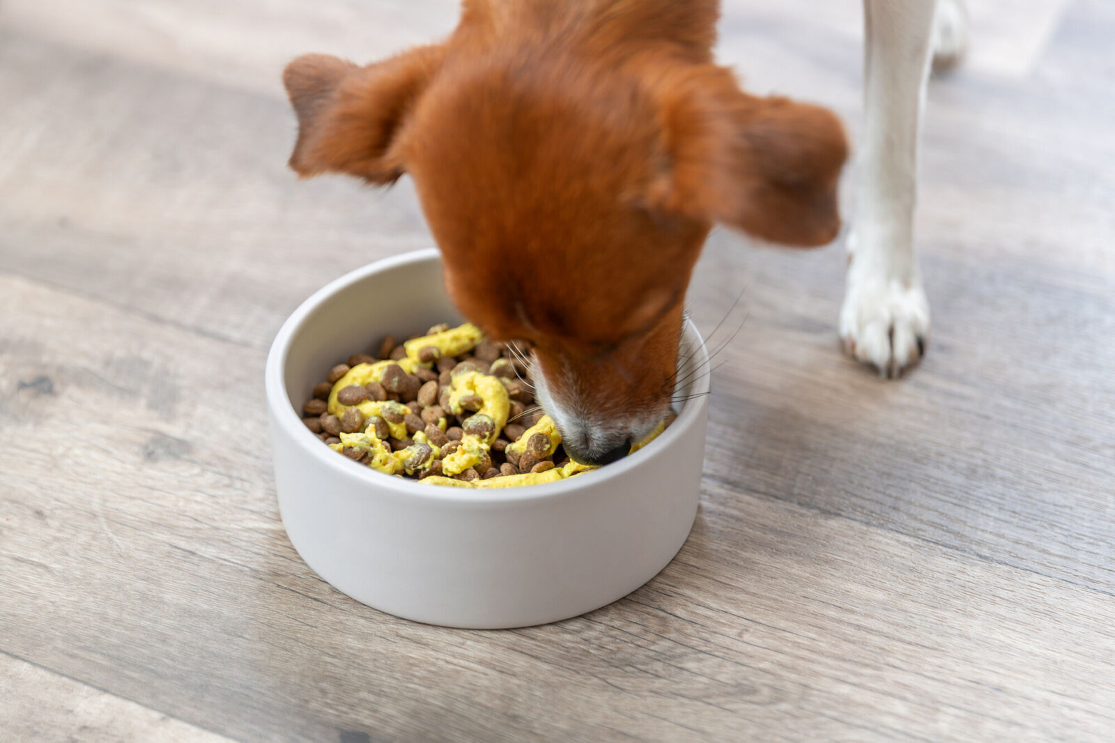 Trixie Veggie-Topping - 300 ml - – Bild 2