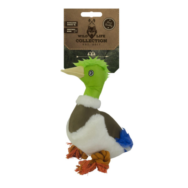 Wild Life Dog Ente