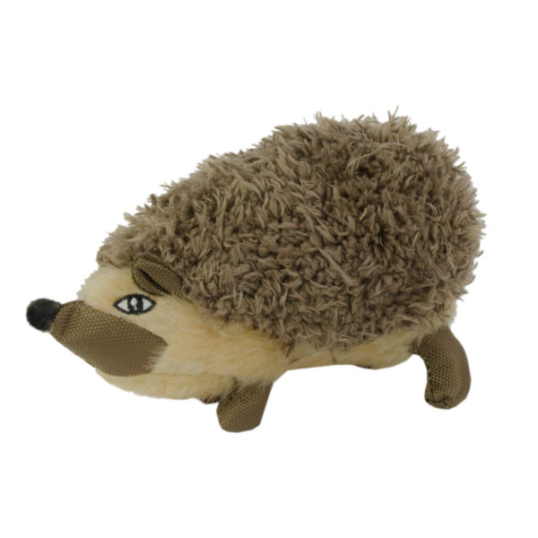 Wild Life Dog Igel